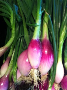 Torpedo Onions