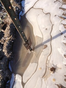 Brrr. Mud puddles can be pretty.