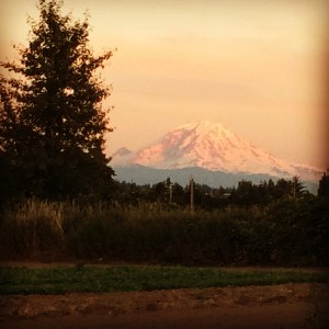 One of the advantages of working in the evening—this amazing view from the bean rows.