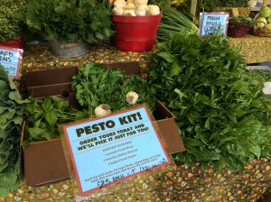 Just $20 for CSA members! Get your Pesto Kit soon, while Basil is in its' prime!