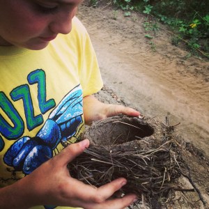 Cosmo was amazed to discover the size and construction of this abandoned Robins' nest. The mud is smooth and strong. He's become an avid birder this summer.