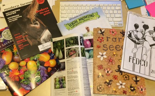 Bookkeeping Break. Pretty pictures and dreams, seed books and schemes.