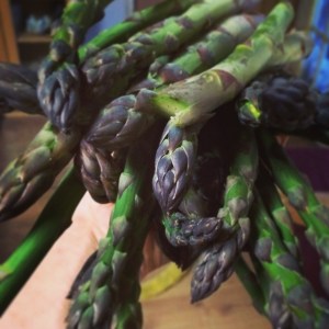 The first asparagus of 2015—I sautéed them hot in a skillet with butter. So sweet and tasty!
