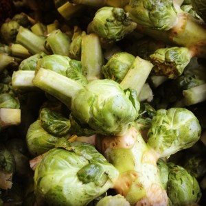 Up close and personal with the Sprouts of Brussels.