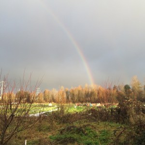 The pot of gold lies in the donkey pen. 