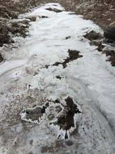 Frozen puddle on top of frozen mud. January is cold.