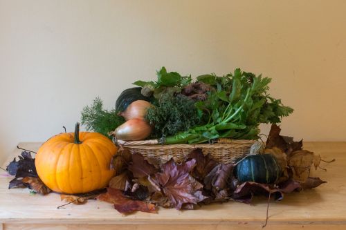 The last CSA week of Fall. Plus a pumpkin from our CSA-only U-Pick patch. 