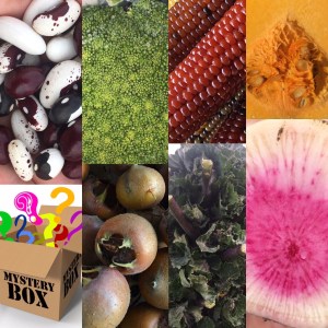 November Mystery Box