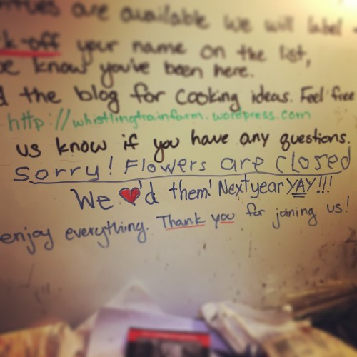 Kay (and her mom) did a fantastic job taking care of the U-Pick garden this year. Next year we're hoping to add more herbs AND the beans and cherry tomatoes. 