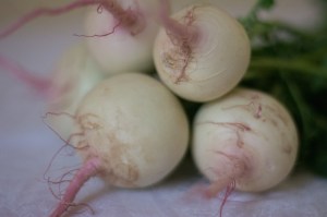 Inside this winter-hardy Watermelon Radish there's a surprise...the inside is bright pink! They're a bit more dense and spicy than a spring radish, but they are delicious in a soup or pickle. 