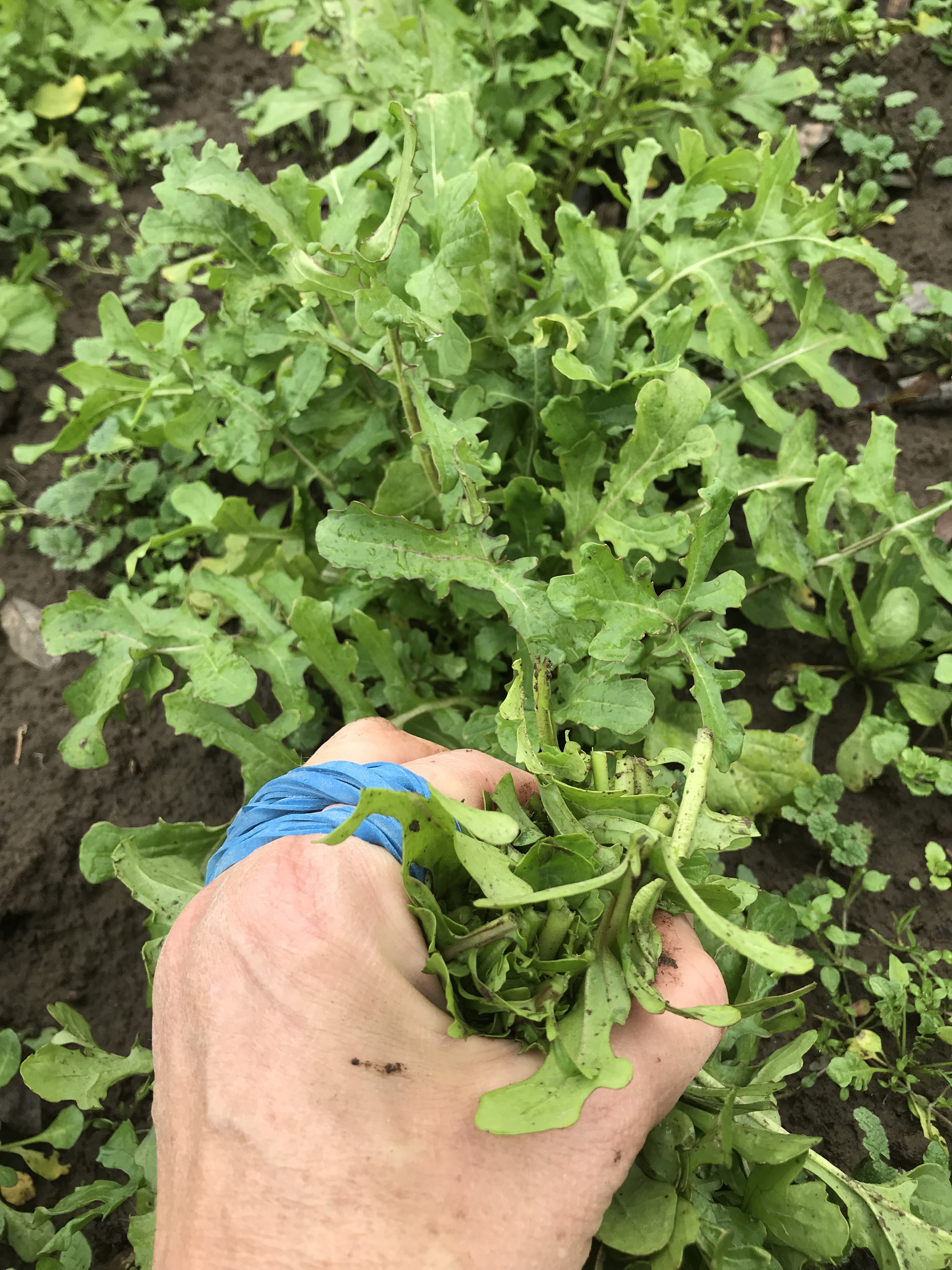 7133C8BE-EF82-4CAB-856F-740BE85C7298