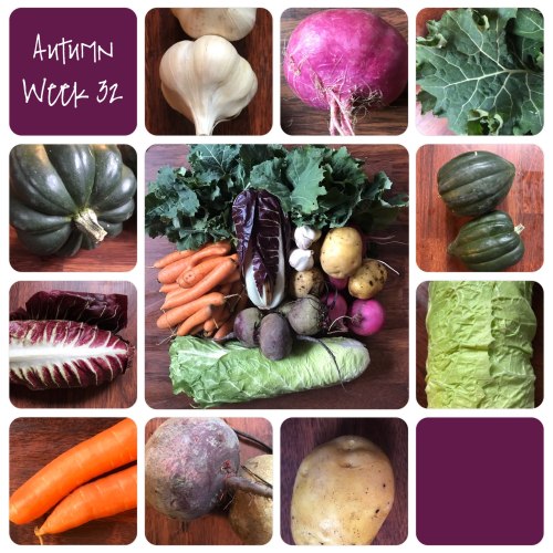 CSA Week 32